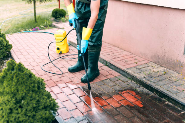 Best Dumpster Area Cleaning  in Carrington, ND
