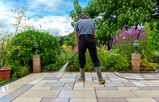Best Post-Construction Pressure Washing  in Carrington, ND
