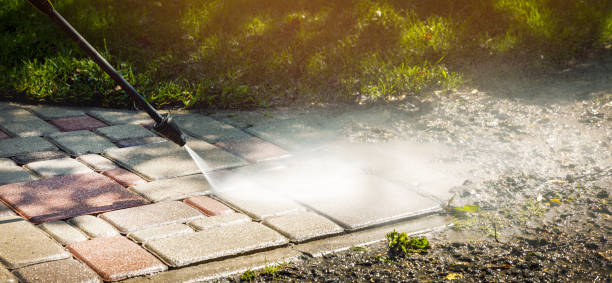 Best Soft Washing  in Carrington, ND